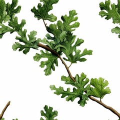 High-quality green oak branch with leaves isolated on transparent background, png illustration