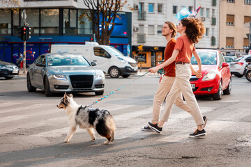 Side view of young Caucasian married couple walking along pedestrian crossing with purebred dog...