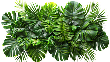 A vibrant assortment of tropical leaves showcasing an array of green hues and textures, arranged artistically for a refreshing nature-inspired aesthetic