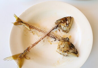 The mackerel's flesh was completely removed and only the fish bones were left behind. Mackerel is a...