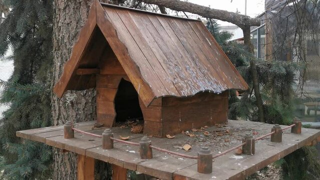 house in the forest for animals and birds. Wooden bird house in the summer park. on an tree stump. Old wooden feeder for birds on a tree, empty bird's feeder caring about wild birds in cold season.