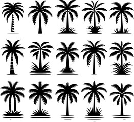 palm tree vector set silhouettes simple style
