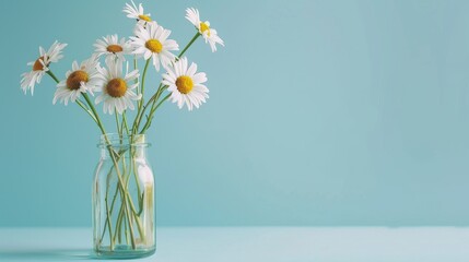 A delicate arrangement of daisies in a glass vase, positioned on a pastel blue background with ample copy space