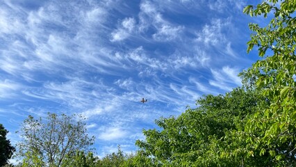 Obraz premium grass and sky