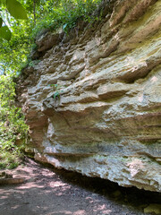 A rugged rock formation in a lush forest. Sunlight filters through the green foliage, highlighting the textures and layers of the rocky cliff
