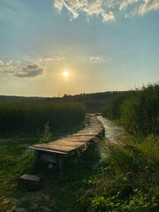 Wooden footbridge winding through lush green reeds at sunset. Calm and serene landscape capturing...