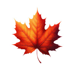 Obraz premium A single maple leaf, vividly colored in shades of orange and red, placed on a transparent background