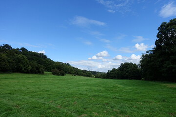 Scenic landscape view of a green grass field and blue sky above