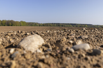 preparing the soil for sowing in spring