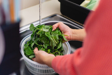 A person is washing spinach in a sink. with a white strainer, concept of home cook