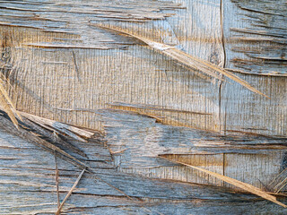 Background of the rough peeling surface of weathered old wood, abstract pattern of rough peeling...