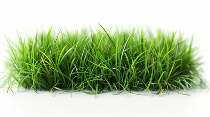 Spring Grass Isolated on White Background. Generative ai