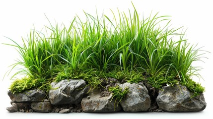 Spring Grass and Rocks Isolated on White Background. Generative ai