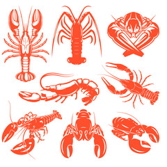 Set of vector crawfish illustrations drawn, Splattered seafood concept on white background.