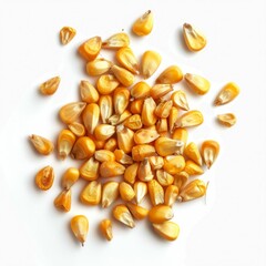 Dried Corn Seeds on White Background. Generative ai