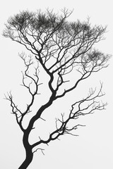 Obraz premium A tree with no leaves is shown in black and white