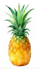 Watercolor Pineapple illustration on white background