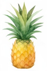 Fototapeta premium Watercolor Pineapple illustration on white background