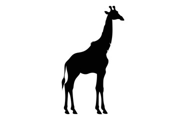 Giraffe black Silhouette Vector isolated on white background