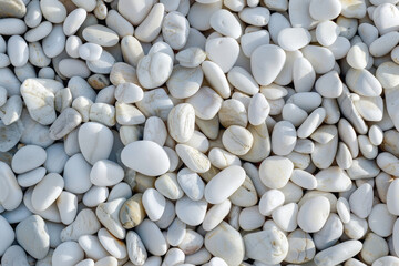 Close-up photo of beach pebbles, illuminated by the sun