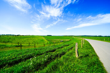 Landscape on the Bislicher Insel near Xanten in the Wesel district. Nature reserve on the...