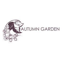 Floral background, a unique pattern for any ideas. A linear image of a gooseberry. Hand-drawn graphics. Vector.