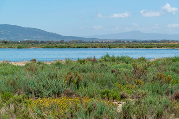 Zone humide en Tunisie