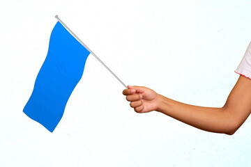 hand holding blue flag