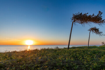 Obraz premium Sonnenuntergang am Darsser Weststrand.