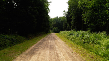Dirt road in the forest. The camera moves forward. On the sides are trees with green foliage.