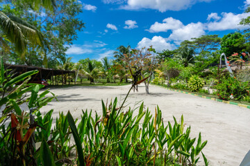 the view and atmosphere of a quiet cottage lodging away from the hustle and bustle of the highway...