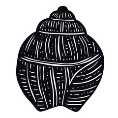 Seashells hand drawn