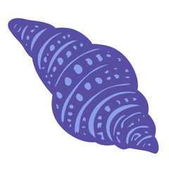 Seashells hand drawn