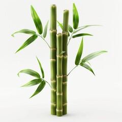 A green bamboo plant stands in a vase against a white backdrop