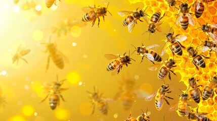 World bee day vector with copy space 
