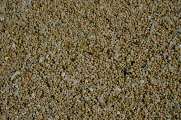 closeup of tropical beach sand grains. white sand. sand surface.