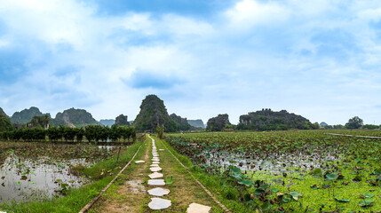 Ninh Binh landscape in Vietnam. Popular for boat tour, karst landscape and river