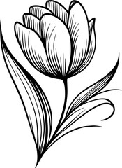 Tulip flower line art illustration