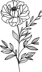 Hand drawn flower illustration 