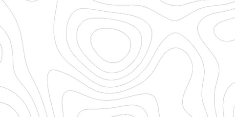 Topographic canyon geometric map relief texture with curved layers and shadow. Vector abstract white paper cut banner. Abstract background vector illustration in papercut design.