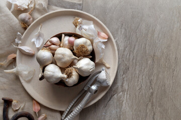Close-up of garlic and seashells on table