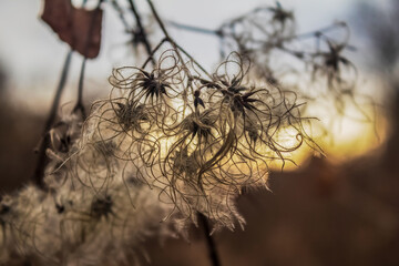 Europe, Romania, Constanta region, 2023 year