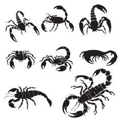 Vector scorpion silhouette on white background

