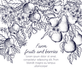 Vector illustration of a tree branch with blossoms and fruits. Apple and pear trees in engraving style