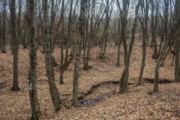 Obraz premium Europe, Romania, Constanta region, 2023 year