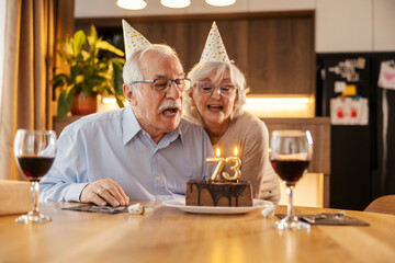 Festive senior couple is celebrating birthday at home, blowing a candle on birthday cake.