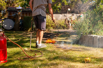 burn lawn. Man destroying dry dead grass with the weed burner, garden gas burner. Fire quickly...