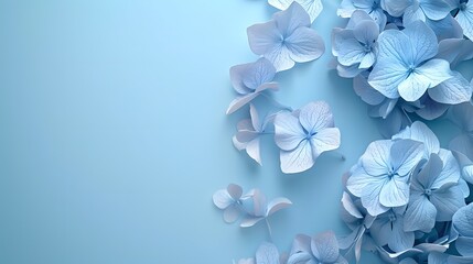 A light blue background with hydrangea flowers in the lower right corner.This background is suitable for various design projects, such as packaging or promotional materials
