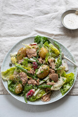 Tuna salad with baby potatoes, lettuce, green beans and radishes
