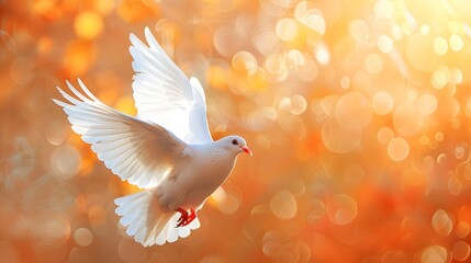 A white dove flaps its wings in the air, radiating warm light and symbolizing peace and freedom.
